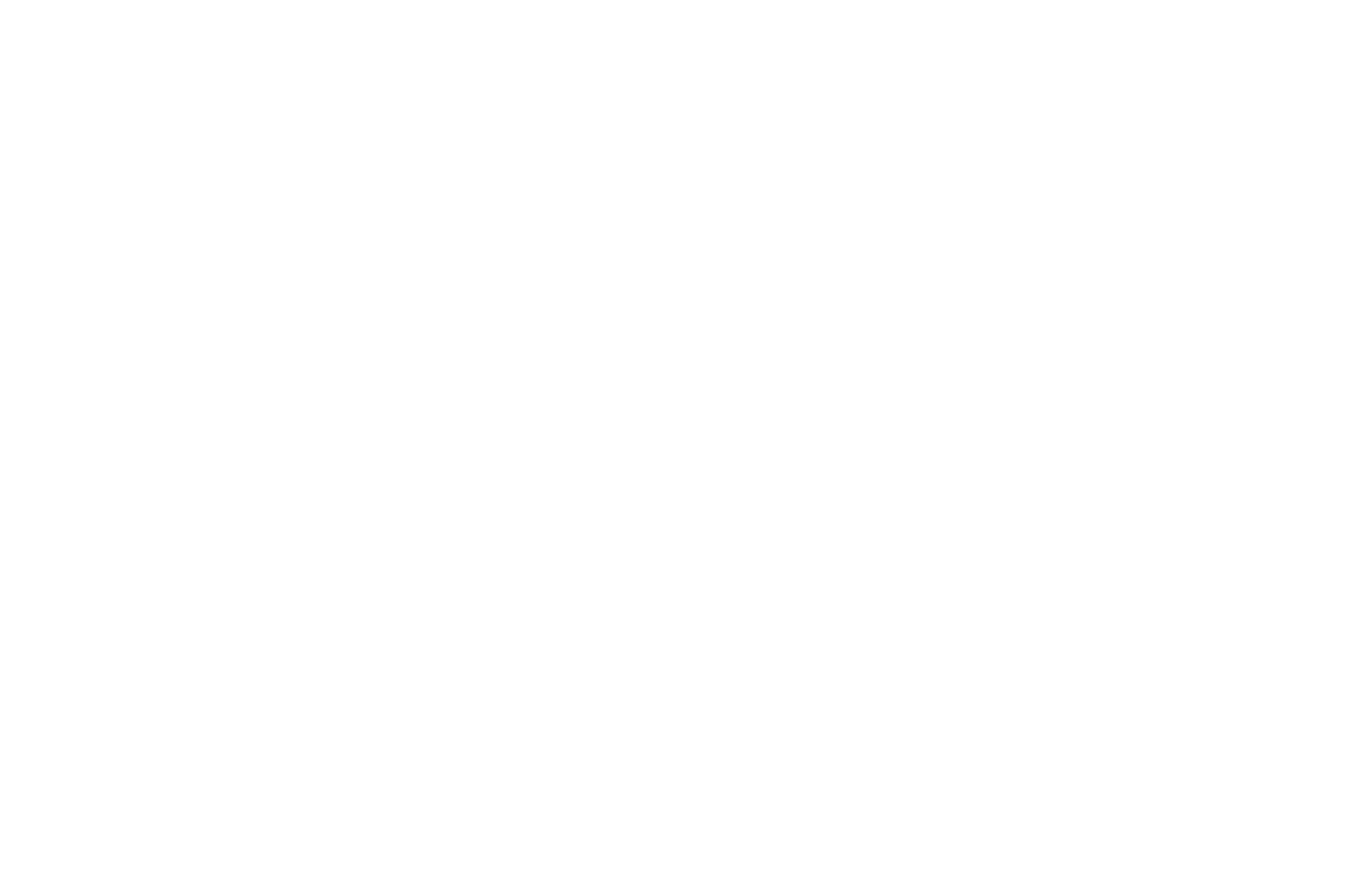 Stella Macartney white logo